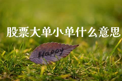 股票大单小单什么意思_https://wap.kuaijiepai.net_外汇交易_第1张