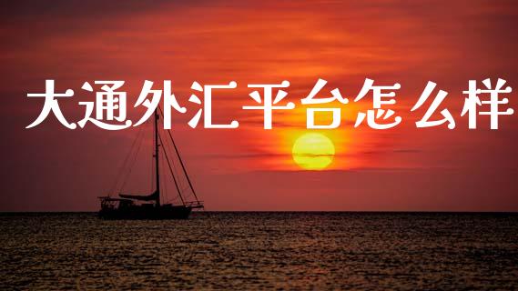 大通外汇平台怎么样_https://wap.kuaijiepai.net_财务风控_第1张