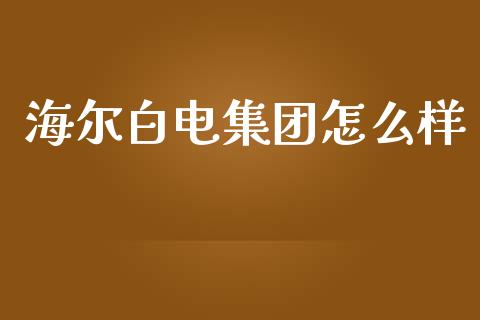 海尔白电集团怎么样_https://wap.kuaijiepai.net_财务风控_第1张