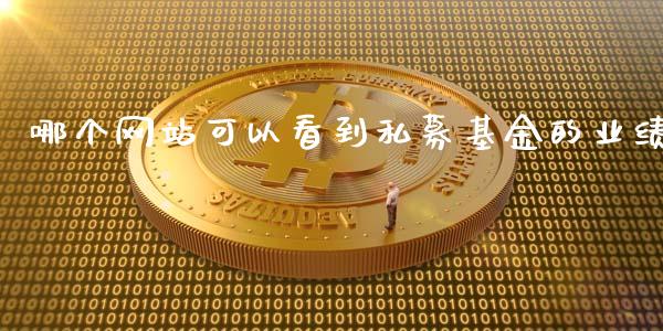 哪个网站可以看到私募基金的业绩_https://wap.kuaijiepai.net_财务风控_第1张