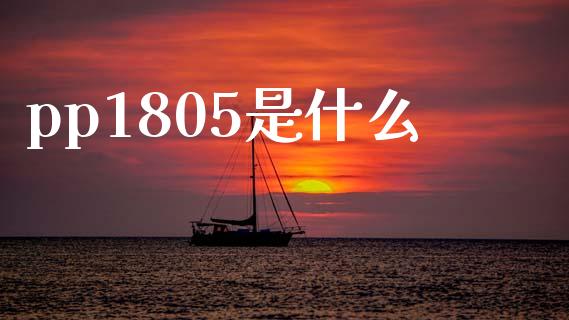 pp1805是什么_https://wap.kuaijiepai.net_金融科技_第1张