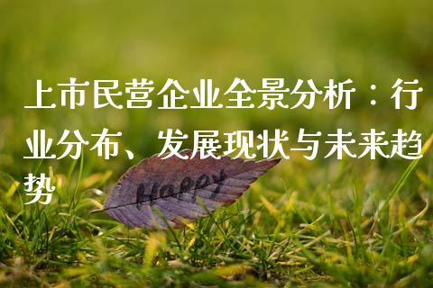上市民营企业全景分析：行业分布、发展现状与未来趋势_https://wap.kuaijiepai.net_外汇交易_第1张
