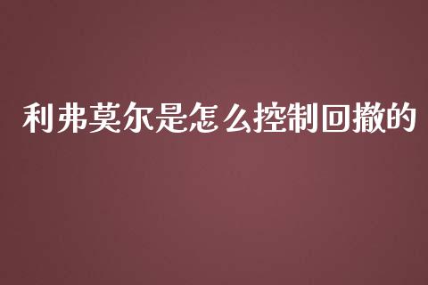 利弗莫尔是怎么控制回撤的_https://wap.kuaijiepai.net_财务咨询_第1张