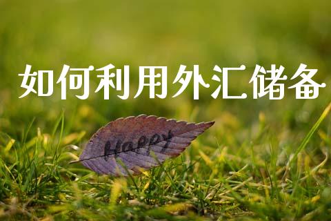 如何利用外汇储备_https://wap.kuaijiepai.net_金融科技_第1张