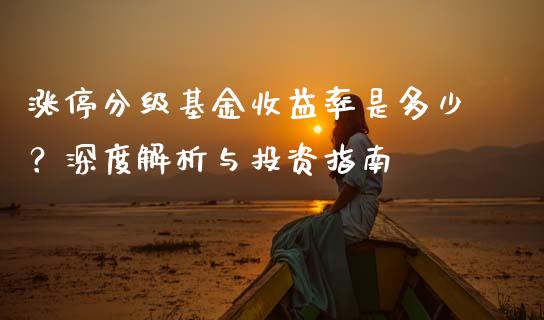 涨停分级基金收益率是多少？深度解析与投资指南_https://wap.kuaijiepai.net_外汇交易_第1张
