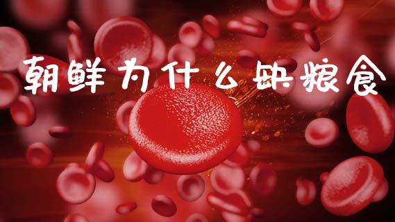 朝鲜为什么缺粮食_https://wap.kuaijiepai.net_财务咨询_第1张