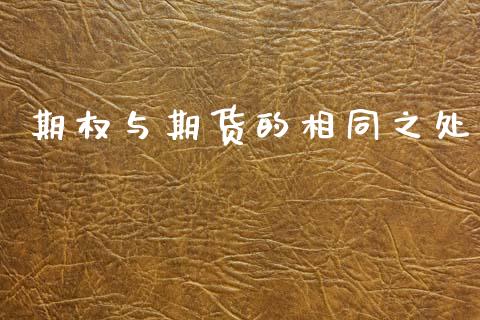 期权与期货的相同之处_https://wap.kuaijiepai.net_财务咨询_第1张