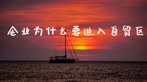企业为什么要进入自贸区_https://wap.kuaijiepai.net_财务风控_第1张