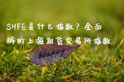 SHFE是什么指数？全面解析上海期货交易所指数_https://wap.kuaijiepai.net_财务咨询_第1张