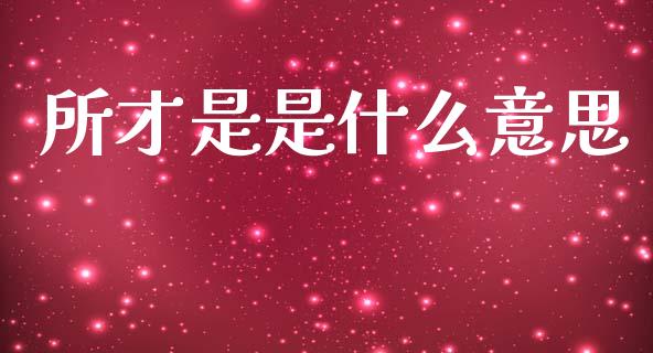 所才是是什么意思_https://wap.kuaijiepai.net_财务风控_第1张