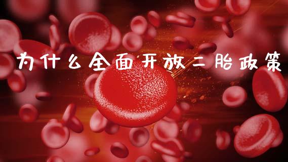 为什么全面开放二胎政策_https://wap.kuaijiepai.net_外汇交易_第1张