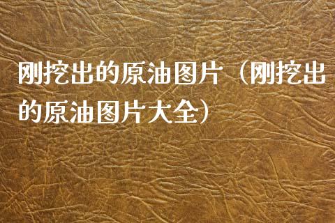 刚挖出的原油图片（刚挖出的原油图片大全）_https://wap.kuaijiepai.net_财务风控_第1张