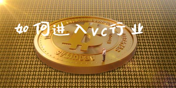 如何进入vc行业_https://wap.kuaijiepai.net_外汇交易_第1张