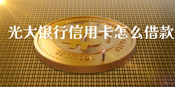 光大银行信用卡怎么借款_https://wap.kuaijiepai.net_财务咨询_第1张