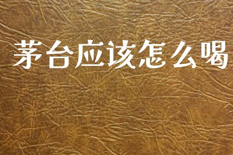 茅台应该怎么喝_https://wap.kuaijiepai.net_金融科技_第1张