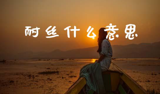 耐丝什么意思_https://wap.kuaijiepai.net_财务风控_第1张