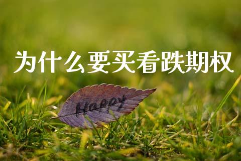 为什么要买看跌期权_https://wap.kuaijiepai.net_财务咨询_第1张
