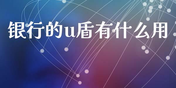 银行的u盾有什么用_https://wap.kuaijiepai.net_财务咨询_第1张