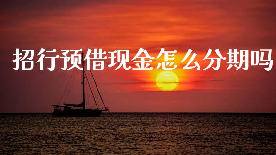 招行预借现金怎么分期吗_https://wap.kuaijiepai.net_金融科技_第1张