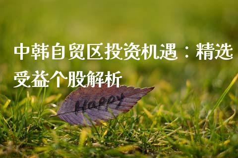 中韩自贸区投资机遇：精选受益个股解析_https://wap.kuaijiepai.net_外汇交易_第1张
