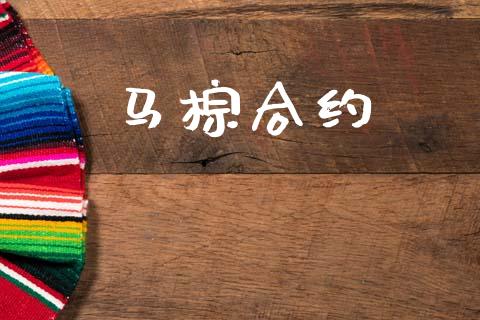 马棕合约_https://wap.kuaijiepai.net_财务风控_第1张