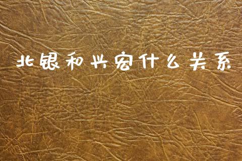 北银和兴宏什么关系_https://wap.kuaijiepai.net_金融科技_第1张