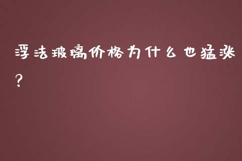 浮法玻璃价格为什么也猛涨？_https://wap.kuaijiepai.net_财务咨询_第1张