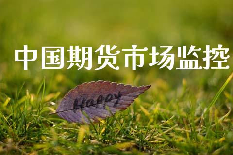 中国期货市场监控_https://wap.kuaijiepai.net_财务咨询_第1张