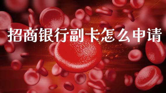 招商银行副卡怎么申请_https://wap.kuaijiepai.net_外汇交易_第1张