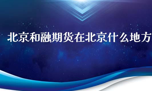 北京和融期货在北京什么地方_https://wap.kuaijiepai.net_财务风控_第1张