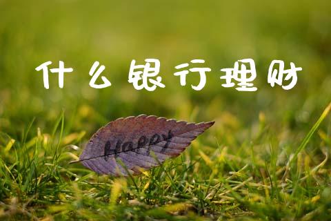 什么银行理财_https://wap.kuaijiepai.net_金融科技_第1张