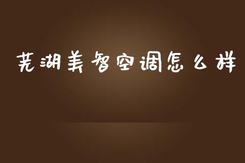 芜湖美智空调怎么样_https://wap.kuaijiepai.net_金融科技_第1张
