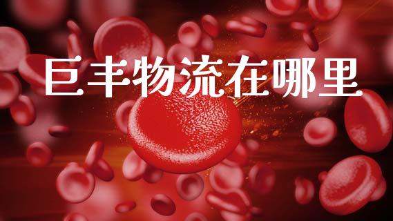 巨丰物流在哪里_https://wap.kuaijiepai.net_财务风控_第1张