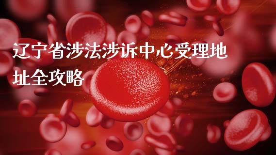 辽宁省涉法涉诉中心受理地址全攻略_https://wap.kuaijiepai.net_财务风控_第1张