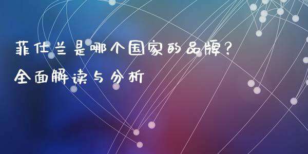 菲仕兰是哪个国家的品牌？全面解读与分析_https://wap.kuaijiepai.net_财务咨询_第1张