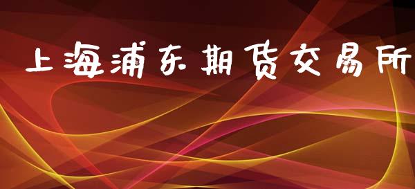 上海浦东期货交易所_https://wap.kuaijiepai.net_财务风控_第1张