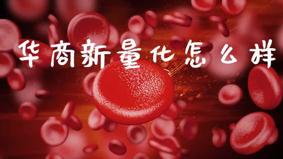 华商新量化怎么样_https://wap.kuaijiepai.net_财务咨询_第1张