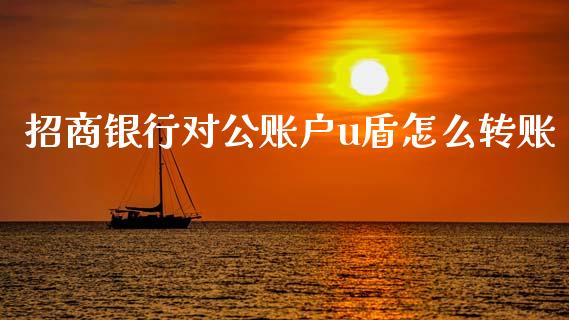 招商银行对公账户u盾怎么转账_https://wap.kuaijiepai.net_财务风控_第1张