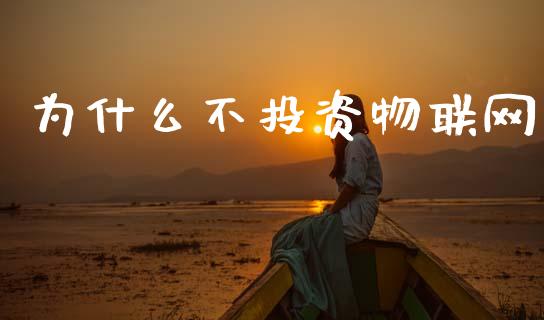 为什么不投资物联网_https://wap.kuaijiepai.net_外汇交易_第1张