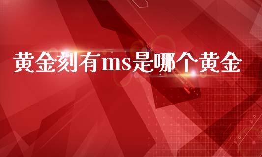黄金刻有ms是哪个黄金_https://wap.kuaijiepai.net_财务咨询_第1张