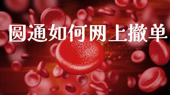 圆通如何网上撤单_https://wap.kuaijiepai.net_财务风控_第1张