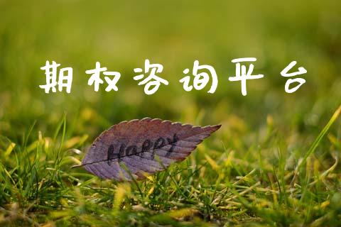 期权咨询平台_https://wap.kuaijiepai.net_金融科技_第1张