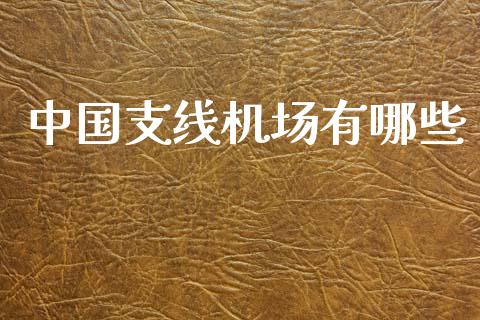中国支线机场有哪些_https://wap.kuaijiepai.net_财务风控_第1张