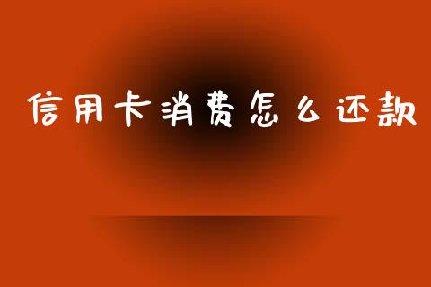 信用卡消费怎么还款_https://wap.kuaijiepai.net_财务风控_第1张