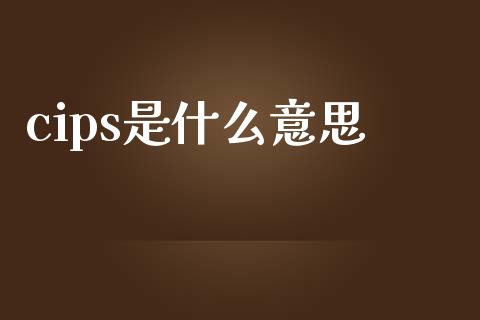 cips是什么意思_https://wap.kuaijiepai.net_财务风控_第1张