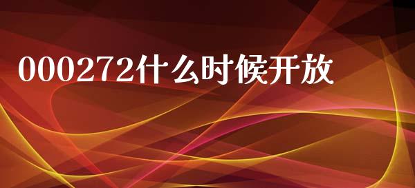 000272什么时候开放_https://wap.kuaijiepai.net_财务咨询_第1张