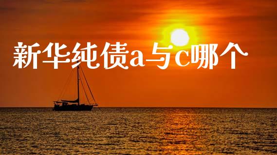新华纯债a与c哪个_https://wap.kuaijiepai.net_财务风控_第1张