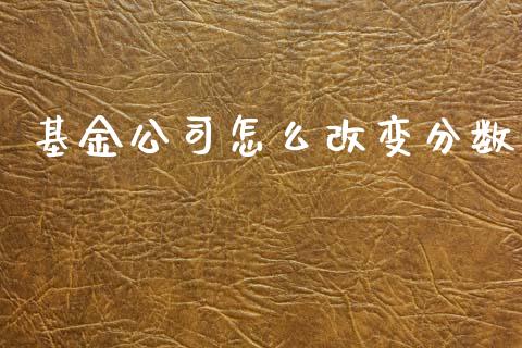 基金公司怎么改变分数_https://wap.kuaijiepai.net_金融科技_第1张