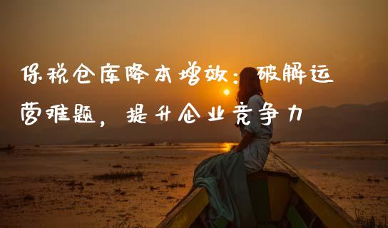 保税仓库降本增效：破解运营难题，提升企业竞争力_https://wap.kuaijiepai.net_财务咨询_第1张