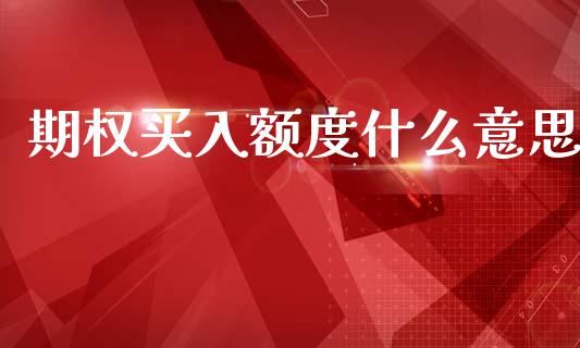 期权买入额度什么意思_https://wap.kuaijiepai.net_金融科技_第1张